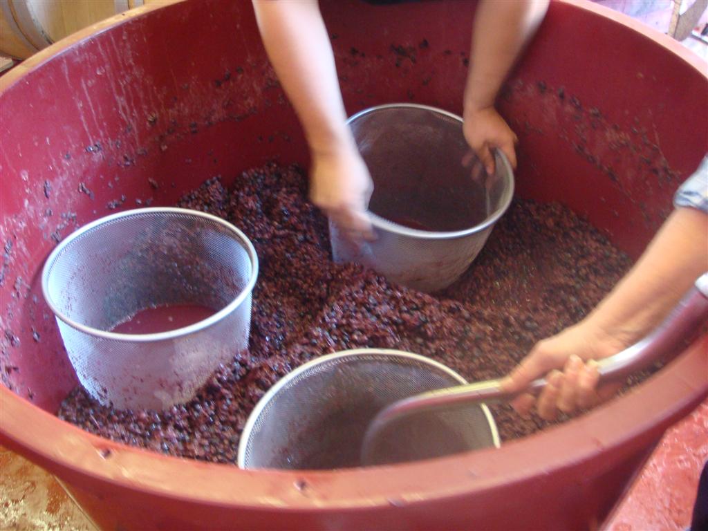 Wine Making Class